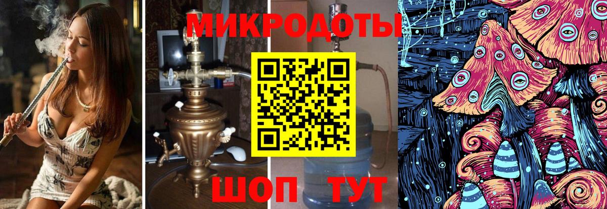 Псилоцибиновые грибы Psilocybe Симферополь